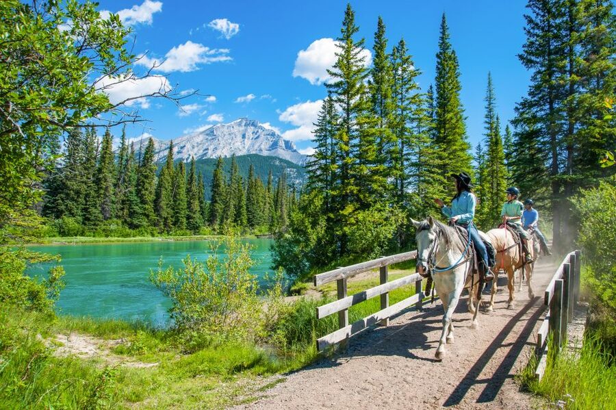 Banff National Park: 1-Hour Bow River Horseback Ride - Is $78 Good Value in Banff?
