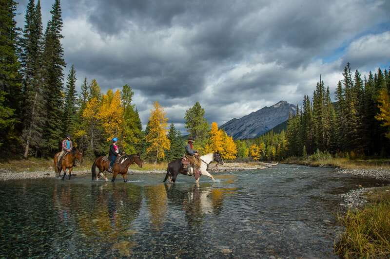 Banff National Park: 1-Hour Spray River Horseback Ride - The wooded climb toward Sulphur Mountain