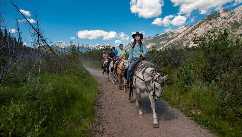 Banff National Park: 2-Hour Sundance Loop Horseback Ride - A Gentle Ride Into Banff’s Backcountry