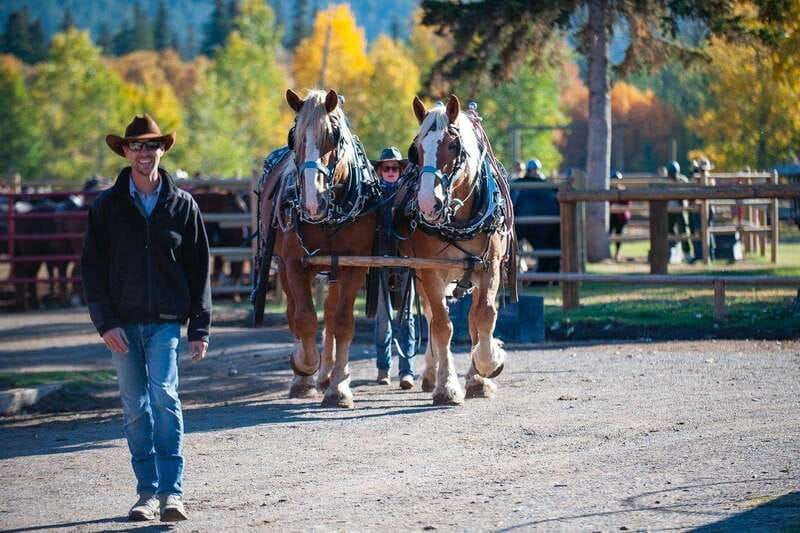 Banff: Wagon Ride with Cowboy Cookout BBQ - The 3 Mile Cabin cookout