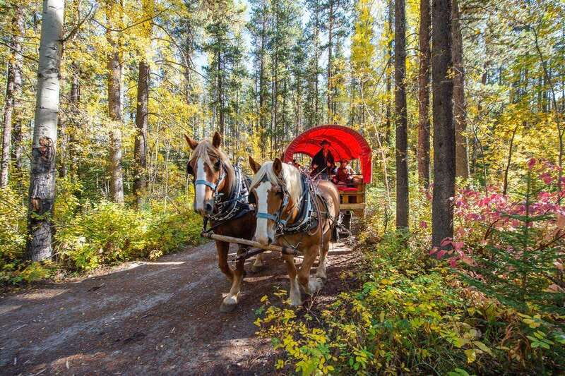 Banff: Wagon Ride with Cowboy Cookout BBQ - Should you book the cowboy cookout?