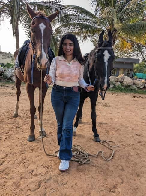 Bangalore: Horse Riding Safari Tour - Why Feeding and Brushing Matter