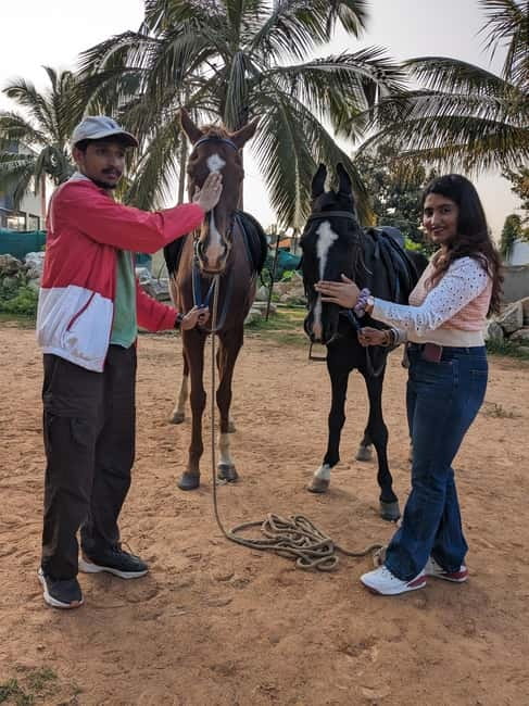 Bangalore: Horse Riding Safari Tour - What the Four-Hour Schedule Really Gives You