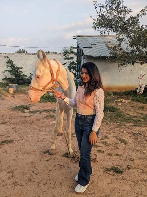 Bangalore: Horse Riding Safari Tour - Riding the Forest Trail Near Hennur