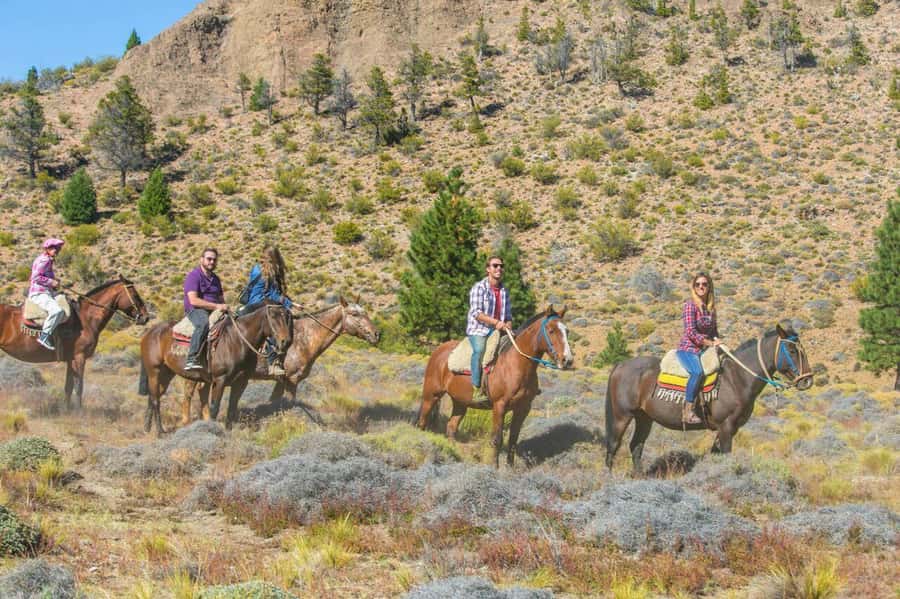 Bariloche: Guided horseback rides in the Patagonian steppe - Key points to know before booking