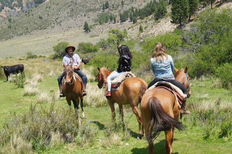 Bariloche: Guided horseback rides in the Patagonian steppe - Leaving Bariloche for La Fragua
