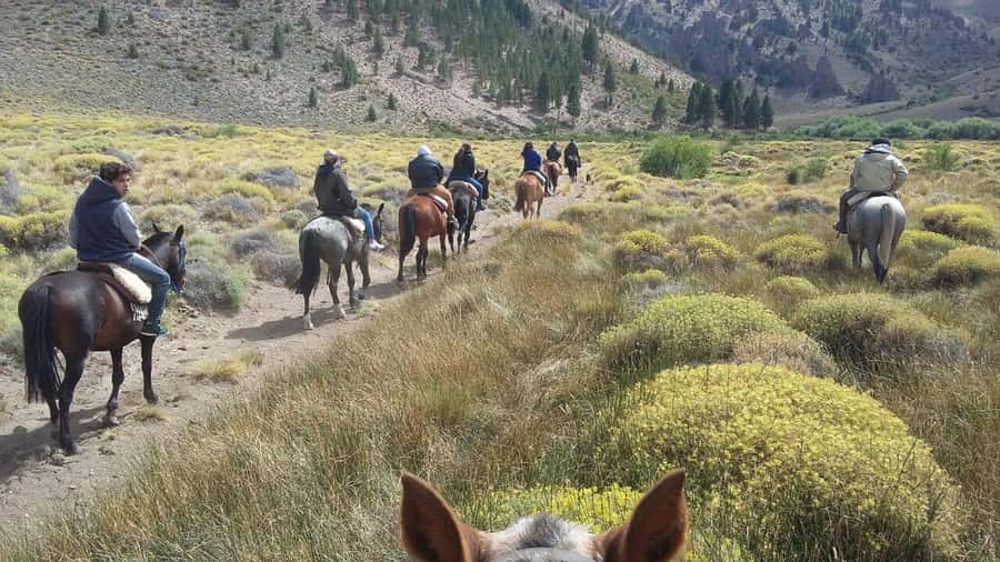 Bariloche: Guided horseback rides in the Patagonian steppe - Two hours through irregular Patagonian terrain