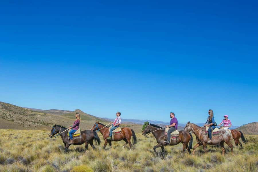 Bariloche: Guided horseback rides in the Patagonian steppe - Breakfast and a short introduction to the steppe
