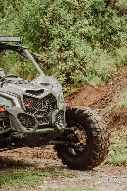 Batumi: Extreme Escape – ATV, Buggy, Horses & Hike - Safety, comfort, and who should skip it