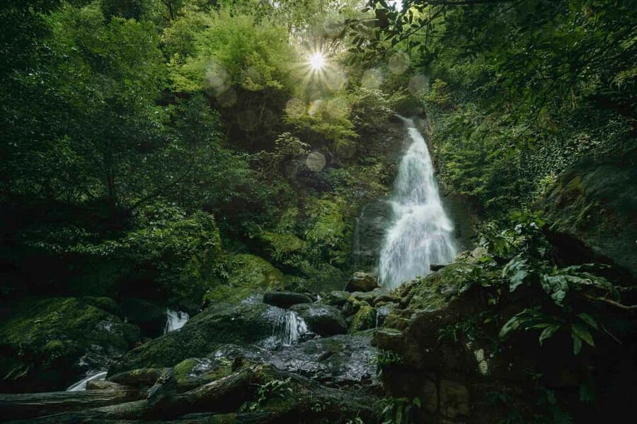 Batumi: Extreme Escape – ATV, Buggy, Horses & Hike - ATV and buggy trails in the Adjara forests