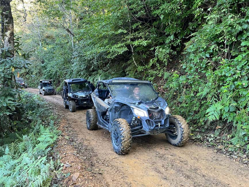 Batumi: Mtirala ATV, Buggy Maverick & Horse Riding Adventure - From Batumi’s streets to Mtirala’s wet forest