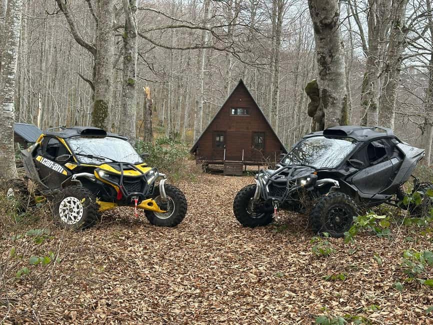 Batumi: Mtirala ATV, Buggy Maverick & Horse Riding Adventure - Buggy driving: more room and more drama