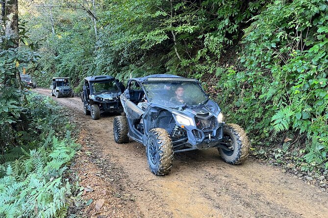 Batumi: Mtirala ATV, Buggy Maverick RZR & Horse Riding Adventure - Mtirala’s jungle route and park setting