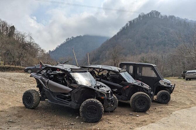Batumi: Mtirala ATV, Buggy Maverick RZR & Horse Riding Adventure - The 600-meter zipline