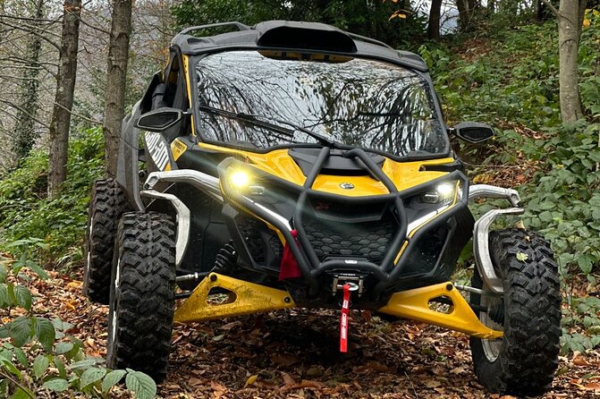 Batumi: Mtirala ATV, Buggy Maverick RZR & Horse Riding Adventure - Who will enjoy this Mtirala trip