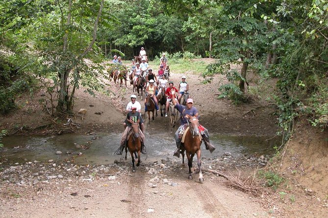 Bayahíbe Horseback Riding & River swimmig - Key points to know before booking