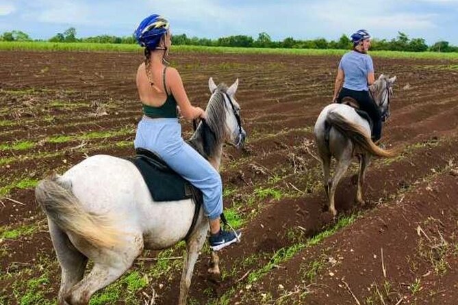 Bayahíbe Horseback Riding & River swimmig - Should you book the Bayahíbe horseback and river swim?