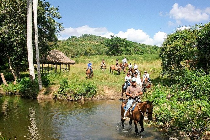 Bayahíbe Horseback Riding & River swimmig - Swimming in the Chavón River