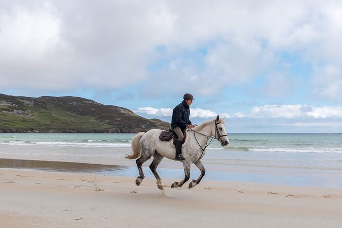 Beach & countryside horse riding outside Westport. Guided. 1 hour - How the $102.58 price measures up