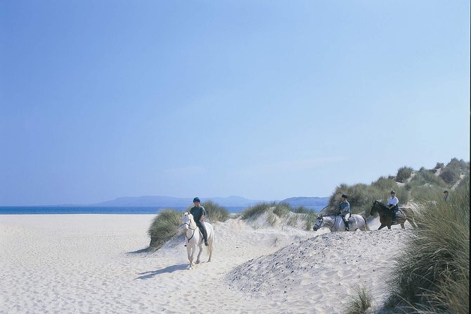 Beach & countryside horse riding outside Westport. Guided. 1 hour - Practical details that can affect your day