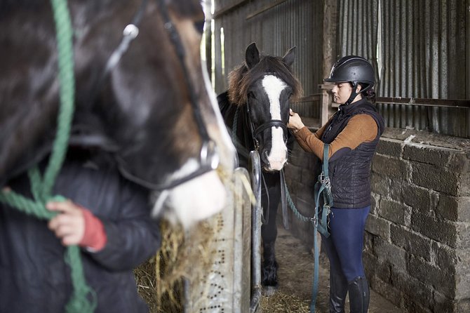 Beach & countryside horse riding outside Westport. Guided. 1 hour - Quiet roads and wide views toward Croagh Patrick