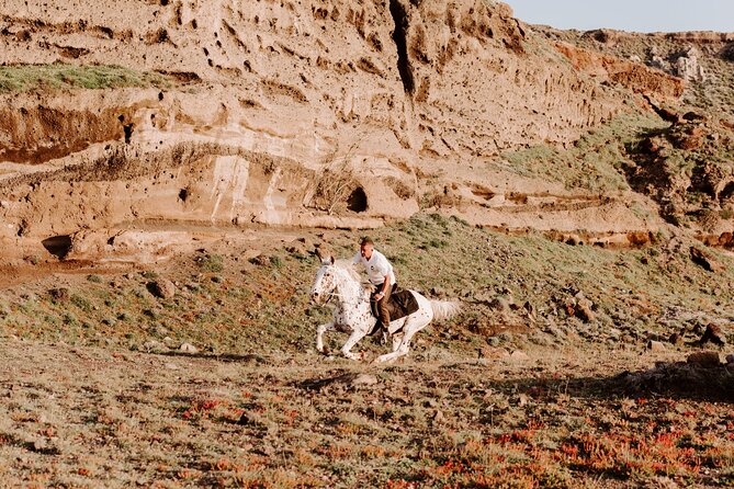 Beach Gallop - Horse Riding Safari for Experienced Riders - Price and value at $192.04