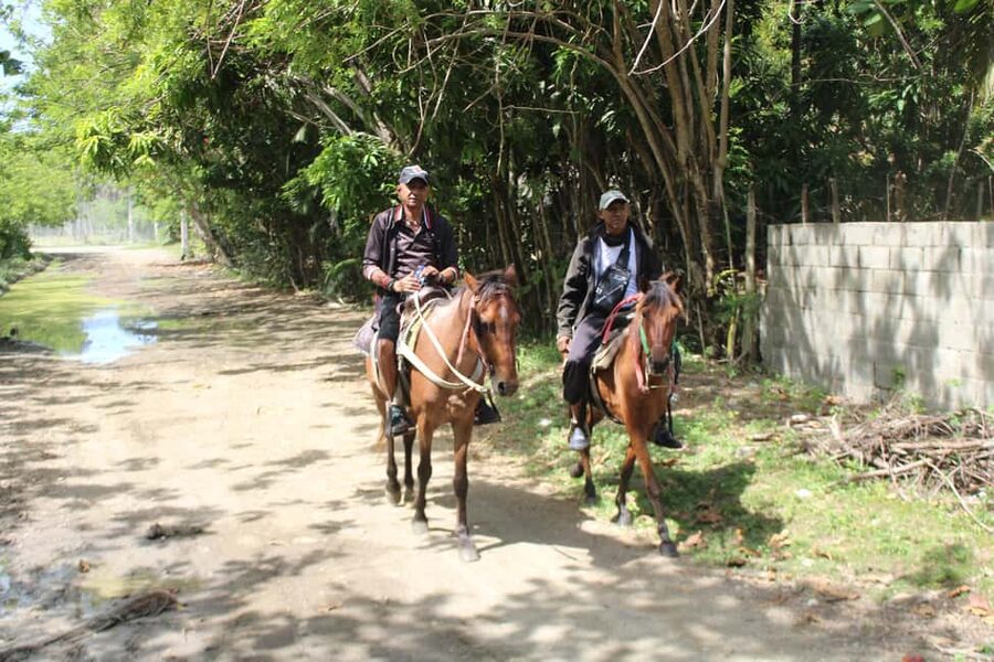 Beach horse back riding with countryside - Key points to know before you book