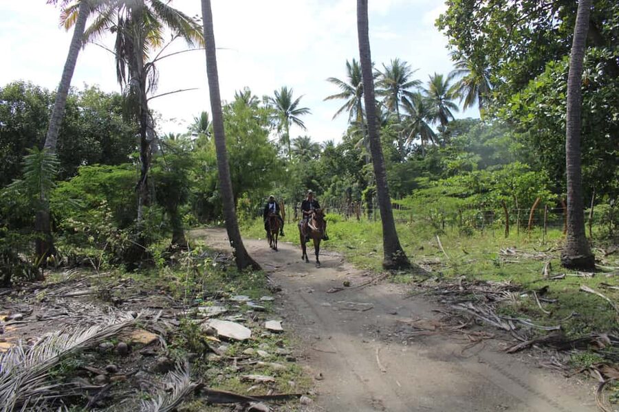 Beach horse back riding with countryside - Who should book this ride?