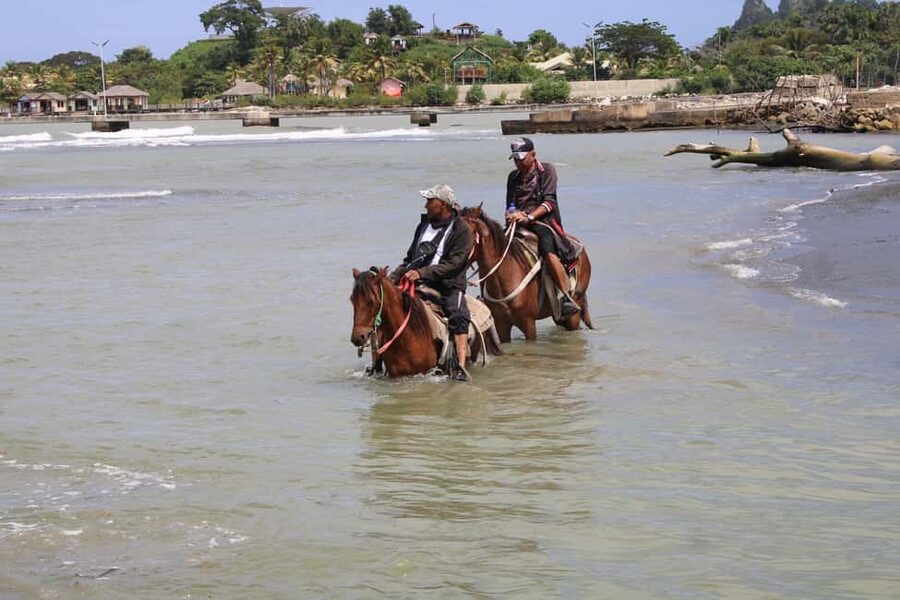 Beach horse back riding with countryside - The horses and the riding experience