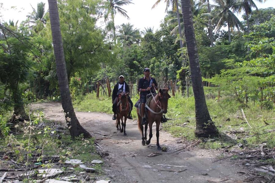 Beach horse back riding with countryside - English and Spanish guides