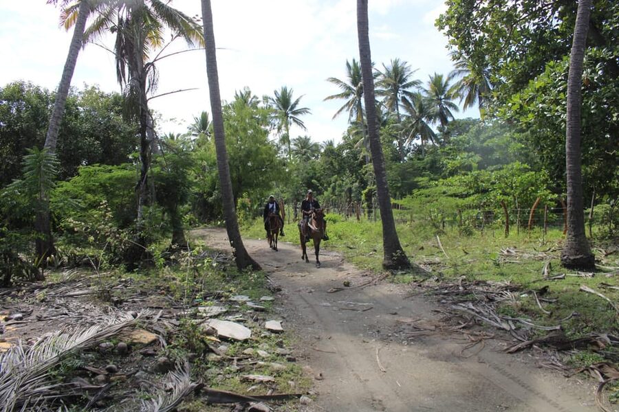 Beach horse back riding with countryside - Is $90 a fair price?