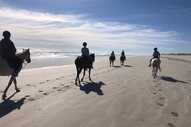 Beach Horse Ride in Yzerfontein, Western Cape - Key points to know before you book