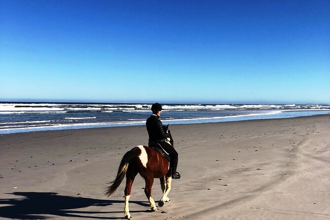 Beach Horse Ride in Yzerfontein, Western Cape - Choosing a horse and finding your pace