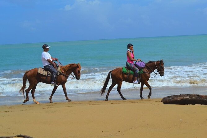 Beach Horse Ride with countryside amber cove & Taino Bay - The guides, dogs, and the human side of the ride