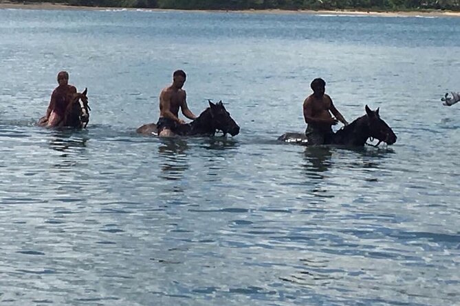 Beach Horse Ride with countryside amber cove & Taino Bay - What the $90 price really covers