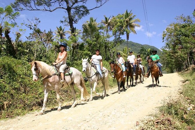 Beach Horse Ride with countryside amber cove & Taino Bay - Practical planning for a smoother ride