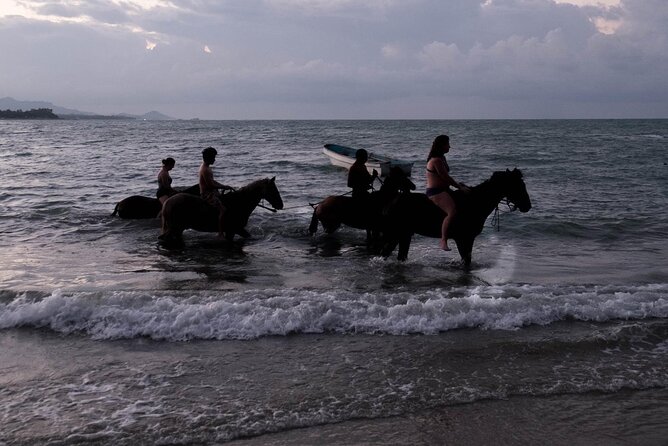 Beach Horse Ride with countryside amber cove & Taino Bay - Meeting the horses at the Puerto Plata ranch