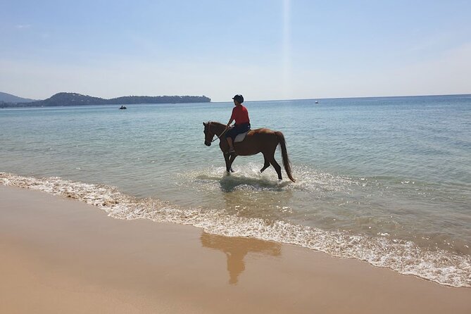 Beach Horse Riding Activity in Phuket - Returning to the stable for horse care