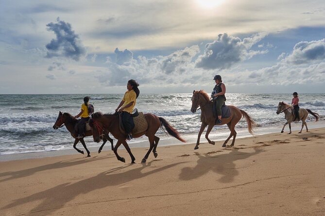 Beach Horse Riding Activity in Phuket - One hour beside the Andaman Sea