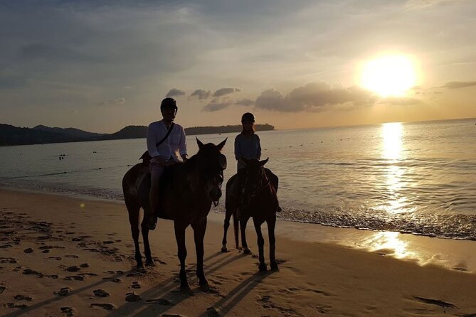 Beach Horse Riding At Sunset In Phuket - What the one-hour ride is really like