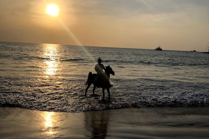 Beach Horse Riding At Sunset In Phuket - Horses and animal welfare