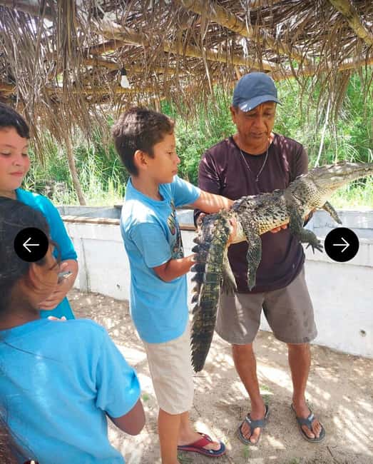 .Beach Horse Riding Turtle Release Crocodile Farm Experience - Key points to know before you book