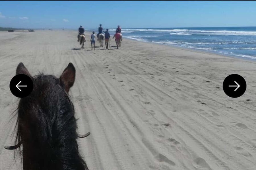 .Beach Horse Riding Turtle Release Crocodile Farm Experience - An Afro-Mexican village with a different side of Mexico
