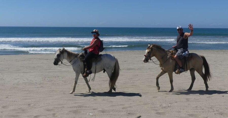 .Beach Horse Riding Turtle Release Crocodile Farm Experience - The crocodile farm changes the mood