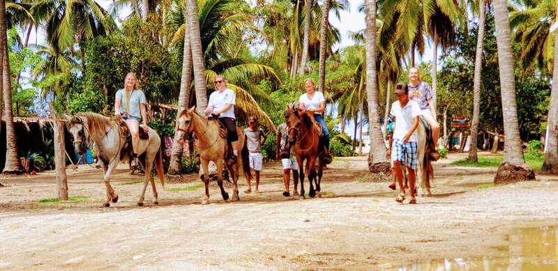 .Beach Horse Riding Turtle Release Crocodile Farm Experience - What the $125 price really covers