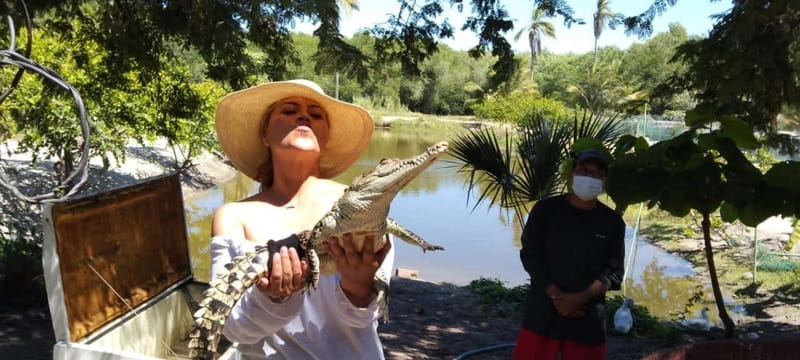 .Beach Horse Riding Turtle Release Crocodile Farm Experience - Timing, comfort, and what to bring