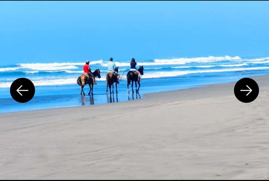 .Beach Horse Riding Turtle Release Crocodile Farm Experience - Who will enjoy this outing most