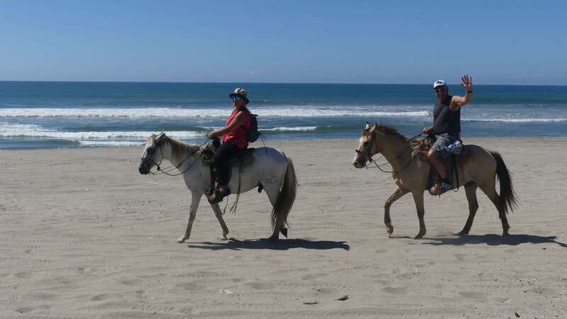 .Beach Horse Riding Turtle Release Crocodile Farm Experience - The Vallarino Turtle Camp and the release
