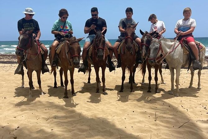 Beach Horseback Ride Tour at Punta Cana - Photos, animals, and the coconut-water stop