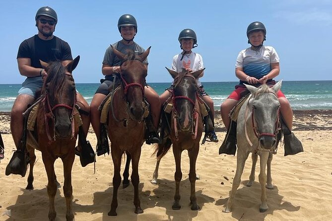 Beach Horseback Ride Tour at Punta Cana - Who will enjoy this horseback ride most